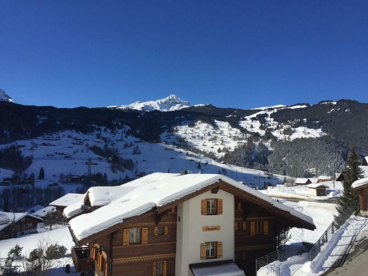 Appartement St. Louis 2.5 - Griwarent Ag Grindelwald